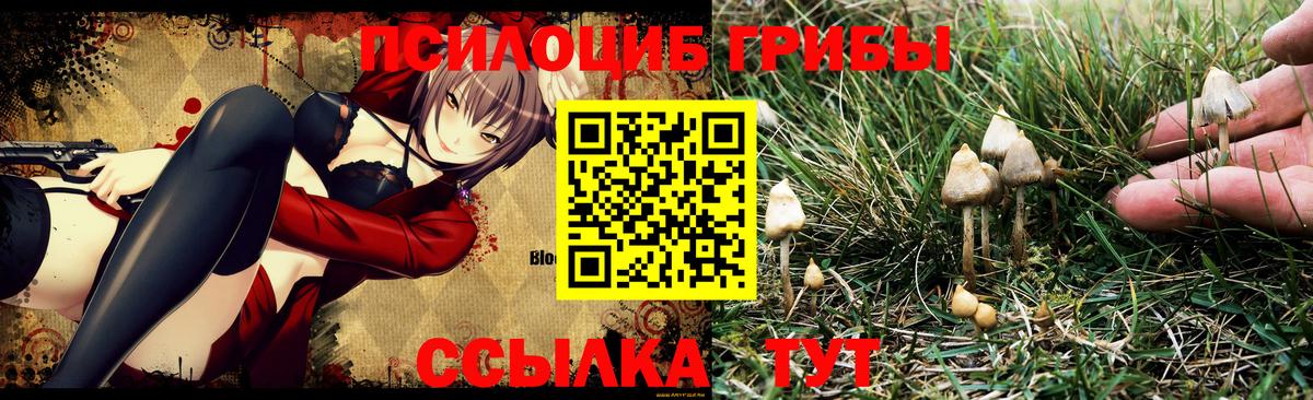 Кушва  как найти закладки  Галлюциногенные грибы Magic Shrooms  Вход с VPN  Галлюциногенные грибы Cubensis 