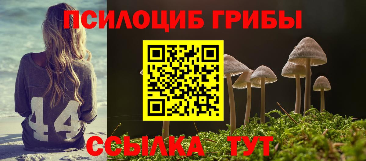 Псилоцибиновые грибы Psilocybine cubensis Кушва